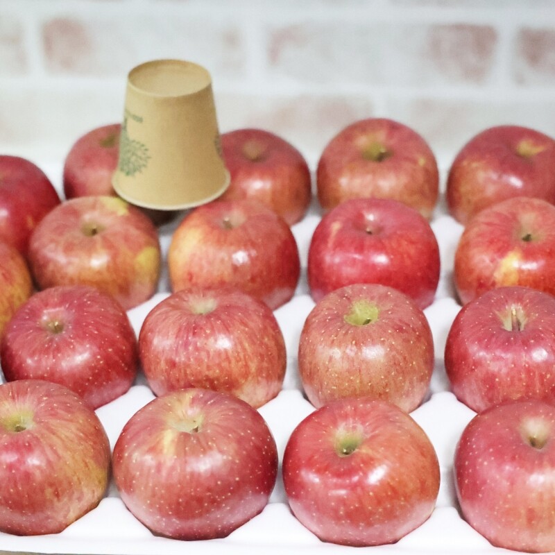 맛있는사과,(라이브특가)평창친환경건강부사 5kg 23-26과(저탄소,GAP)인증