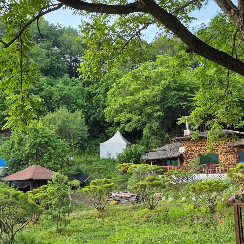 맛있는사과,천지애건강충전소/힐링팜크닉