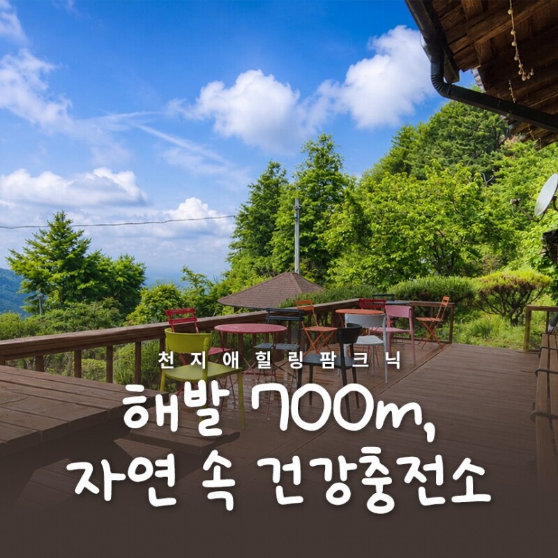 맛있는사과,천지애건강충전소/평창 산양삼애플피자체험